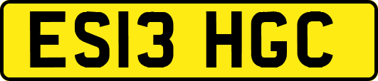 ES13HGC