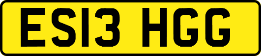 ES13HGG