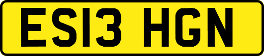 ES13HGN