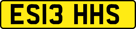 ES13HHS