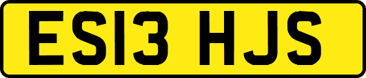 ES13HJS