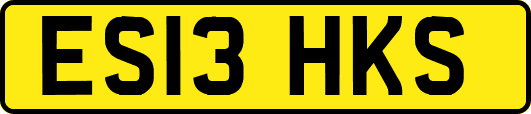 ES13HKS