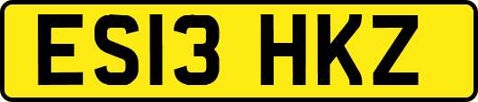 ES13HKZ