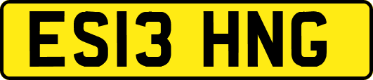 ES13HNG