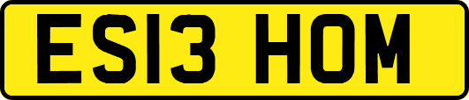 ES13HOM
