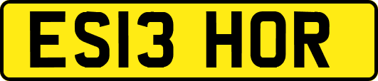 ES13HOR