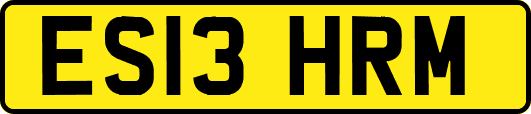 ES13HRM