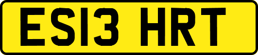 ES13HRT