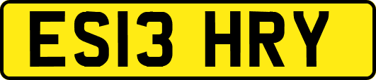 ES13HRY