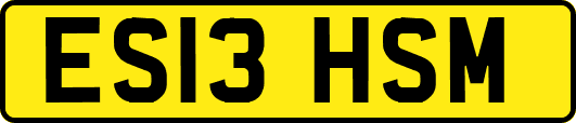 ES13HSM