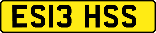 ES13HSS