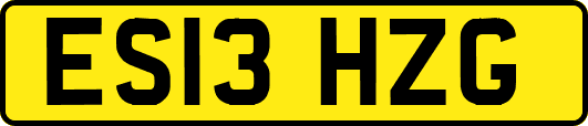 ES13HZG