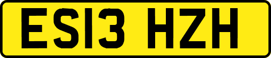 ES13HZH