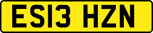 ES13HZN
