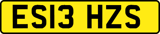 ES13HZS