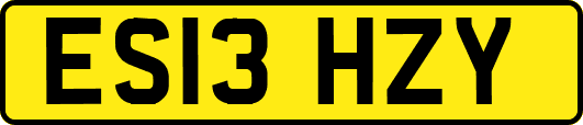 ES13HZY