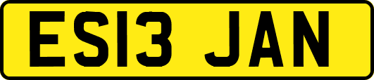 ES13JAN