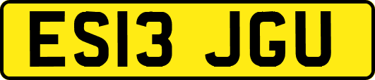 ES13JGU
