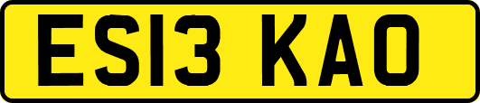 ES13KAO