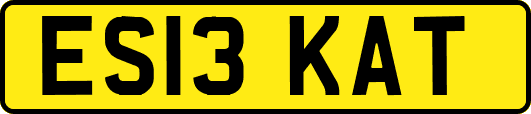 ES13KAT