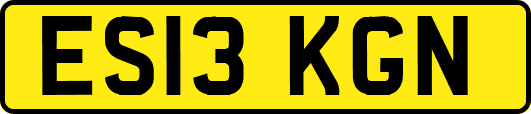 ES13KGN