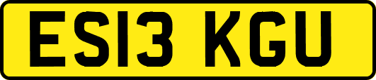ES13KGU