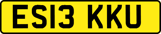 ES13KKU