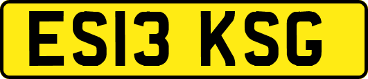 ES13KSG