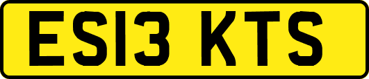 ES13KTS