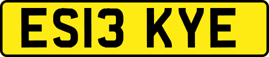 ES13KYE