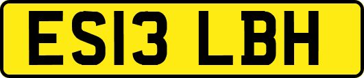 ES13LBH