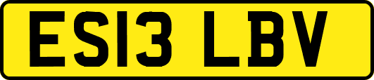 ES13LBV