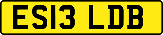 ES13LDB