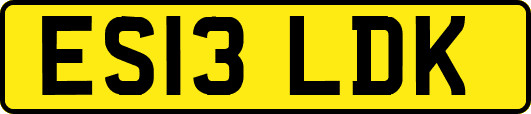 ES13LDK