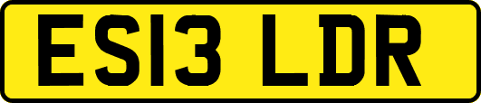 ES13LDR
