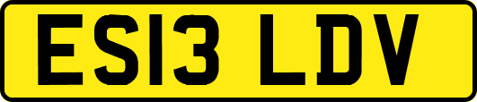 ES13LDV