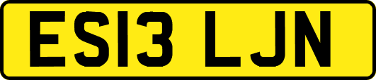 ES13LJN