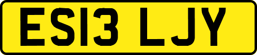ES13LJY
