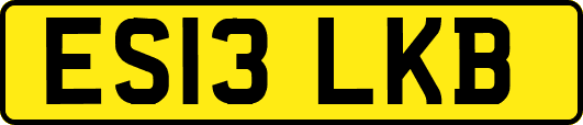 ES13LKB