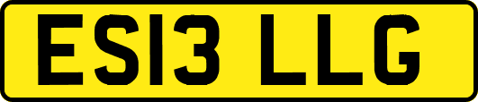 ES13LLG