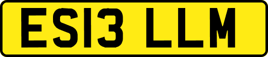 ES13LLM