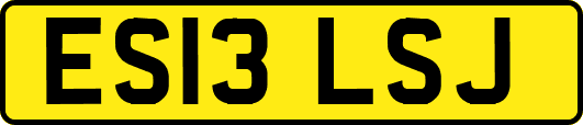 ES13LSJ