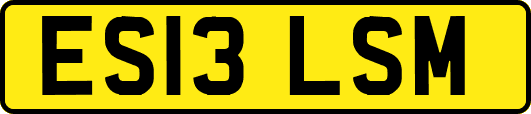ES13LSM