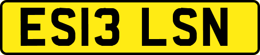 ES13LSN