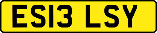 ES13LSY