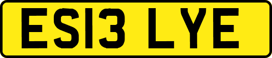 ES13LYE