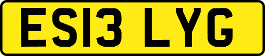 ES13LYG