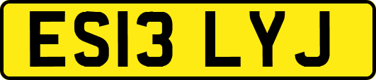 ES13LYJ