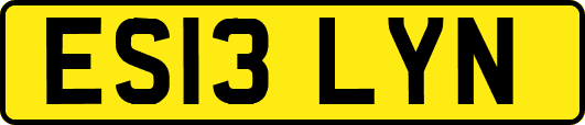 ES13LYN