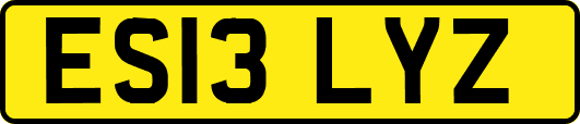 ES13LYZ